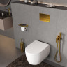 Система инсталляции для унитазов WASSERKRAFT ALLER 10TLT.010.ME.PG04